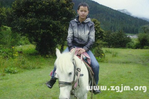 梦见白马王子