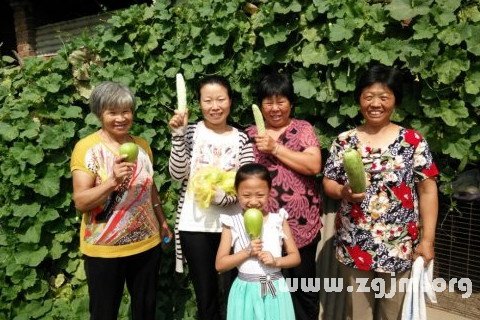 梦见姑姑婶婶