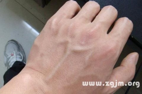 梦见静脉血管