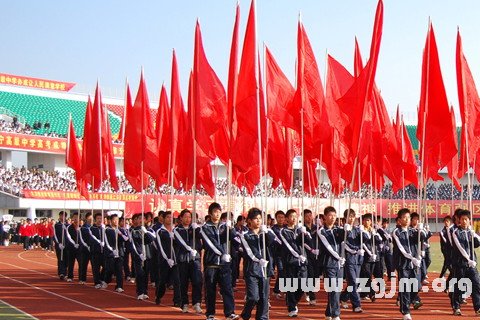 梦见旗手