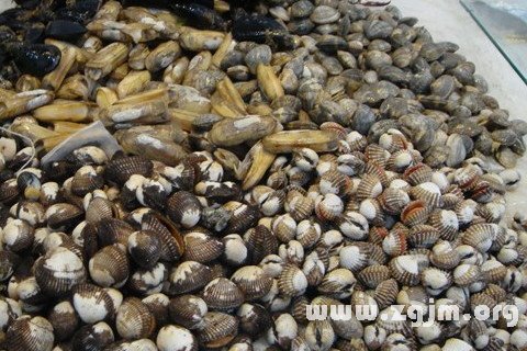 梦见海鲜贝壳