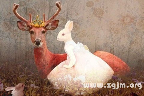 梦见鹿兔