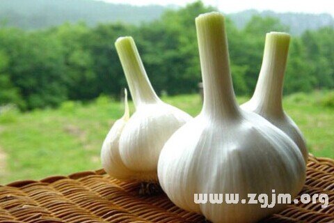 梦见大蒜