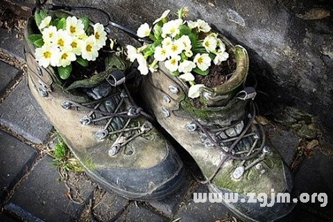 梦见鞋破损