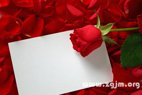 梦见白纸