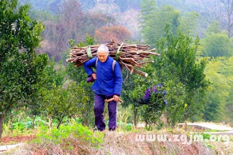 梦见一捆柴