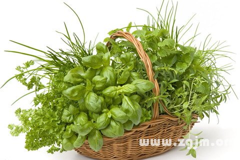 梦见草药 买药