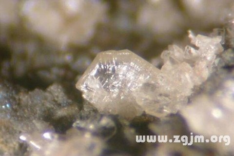 梦见甘汞 汞膏