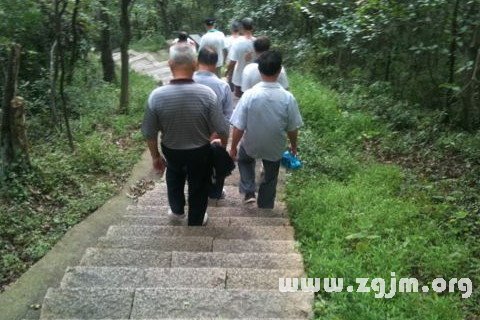 梦见下山