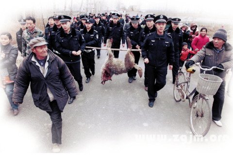 梦见打狼