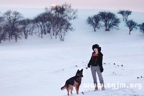 梦见在积雪的森林中漫步