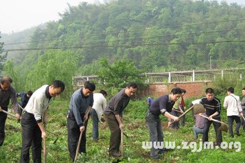 梦见锄草