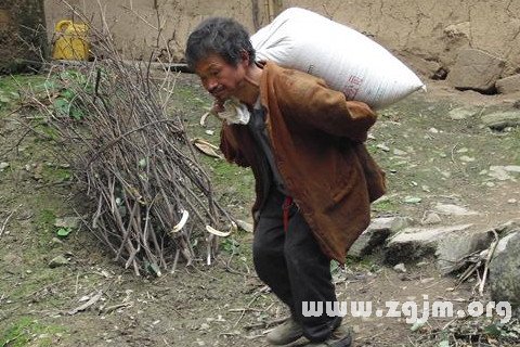 梦见背粮食