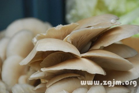 梦见买蘑菇