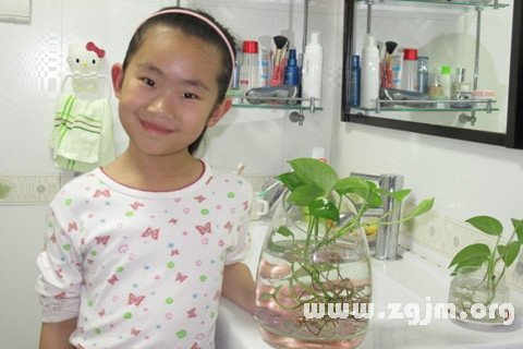 梦见给鱼换水