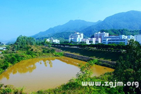 梦见浑水