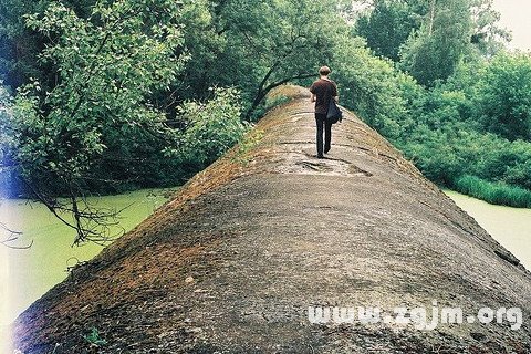 梦见独自走路