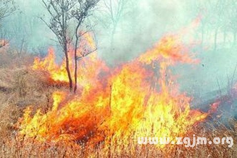 梦见山林起火 山中起火