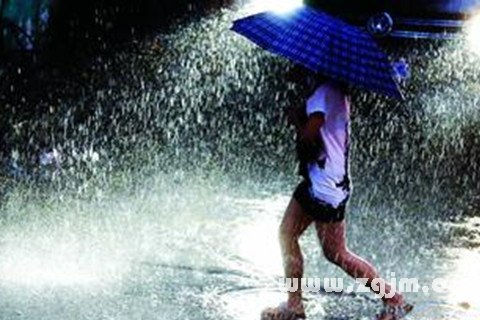 梦见被大雨淋