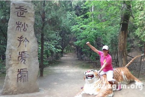 梦见打老虎