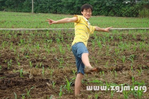 梦见踩了一脚屎
