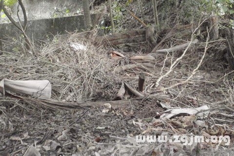 梦见堆肥肥料
