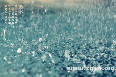 梦见雨水