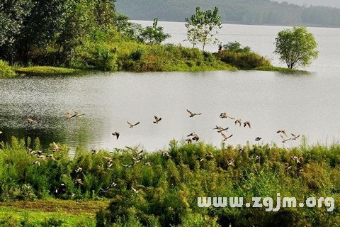 梦见江河湖