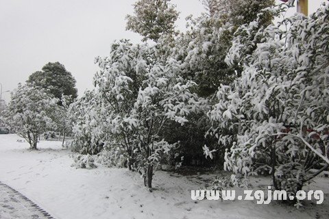 梦见下雪 下大雪