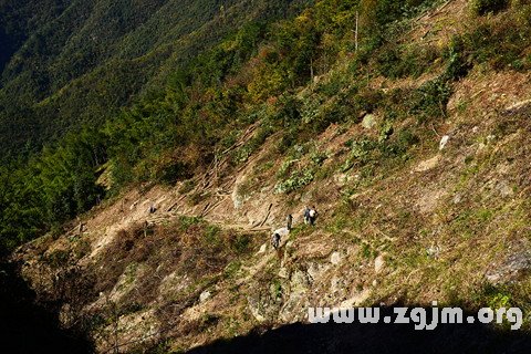 梦见崎岖的路