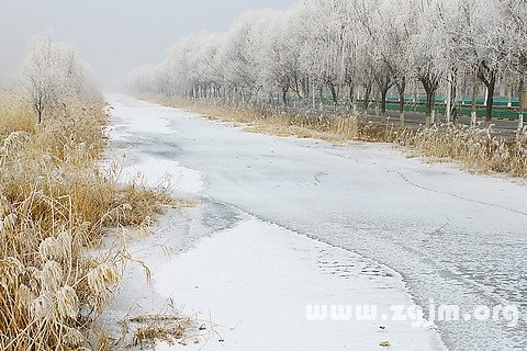 梦见河水结冰