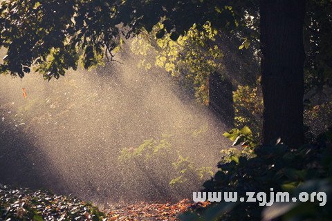 梦见太阳雨