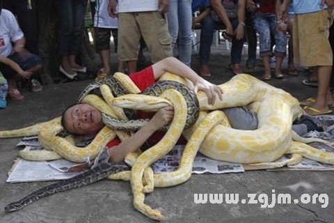 梦见蛇缠身代表什么意思