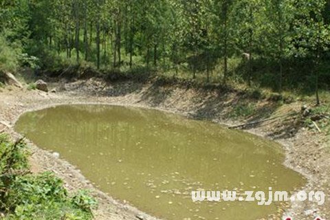 梦见水坑
